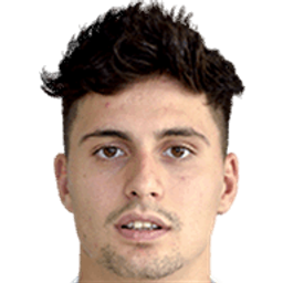 Tarkan Serbest