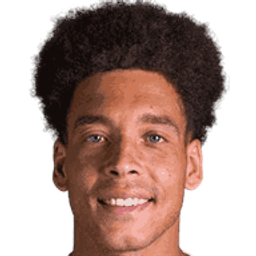 Axel Witsel
