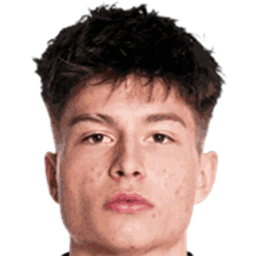 Esmir Bajraktarevic