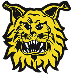 Ilves