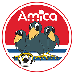 Amica Wronki